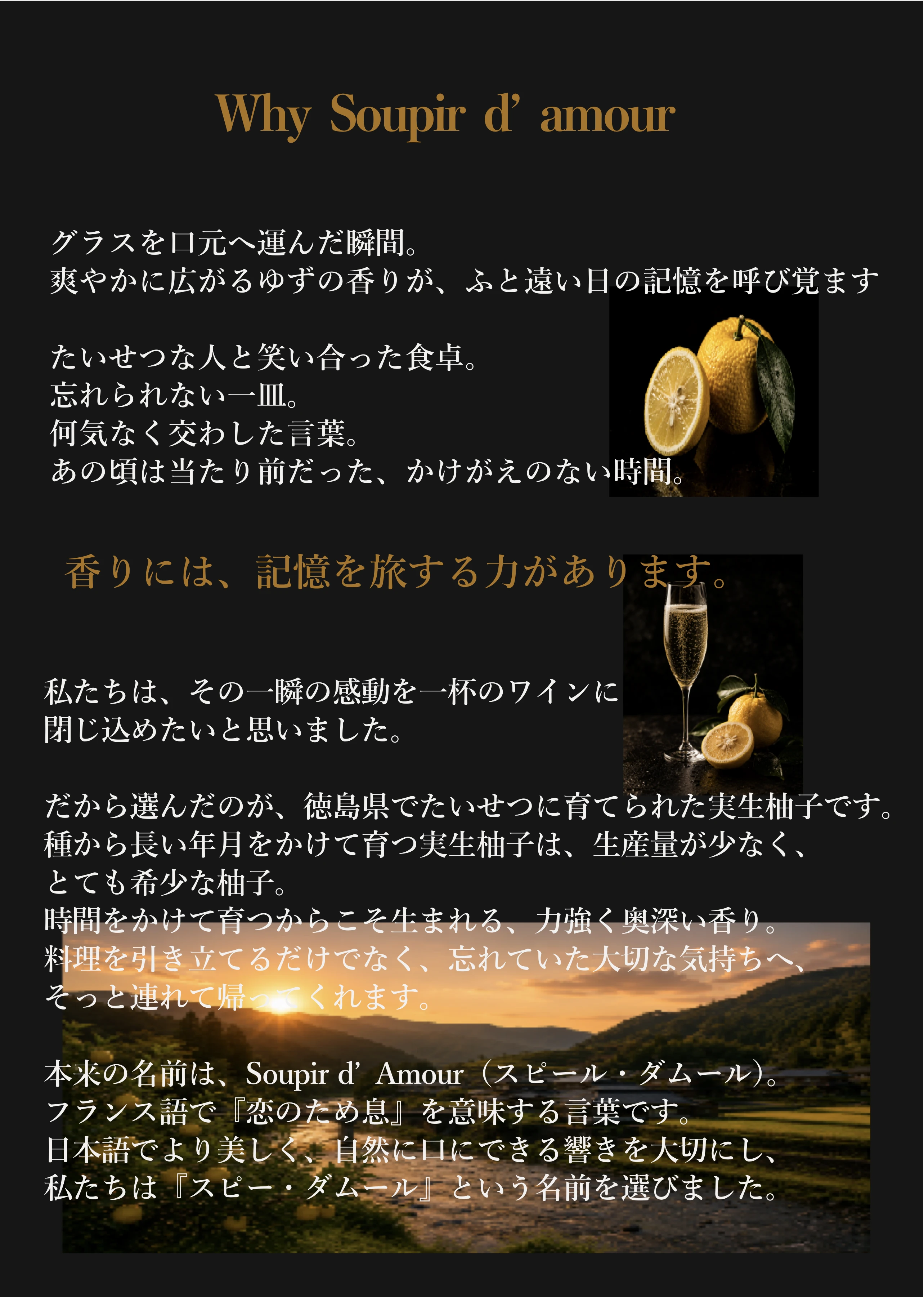 Why Soupir d'amour（日本語）